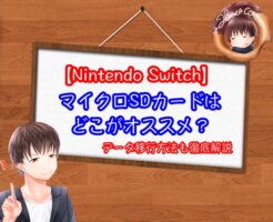 SwitchのSDカードはどこがおすすめ？