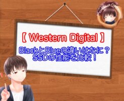 WDのBlackとBlueのSSDの違い