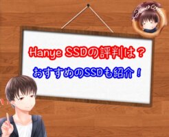 HanyeのSSDの評判